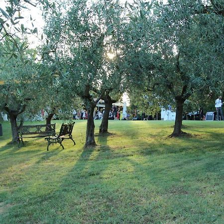Villa Il Vecchio Gelso - Agriturismo Rimini Montefiore Conca Exterior foto