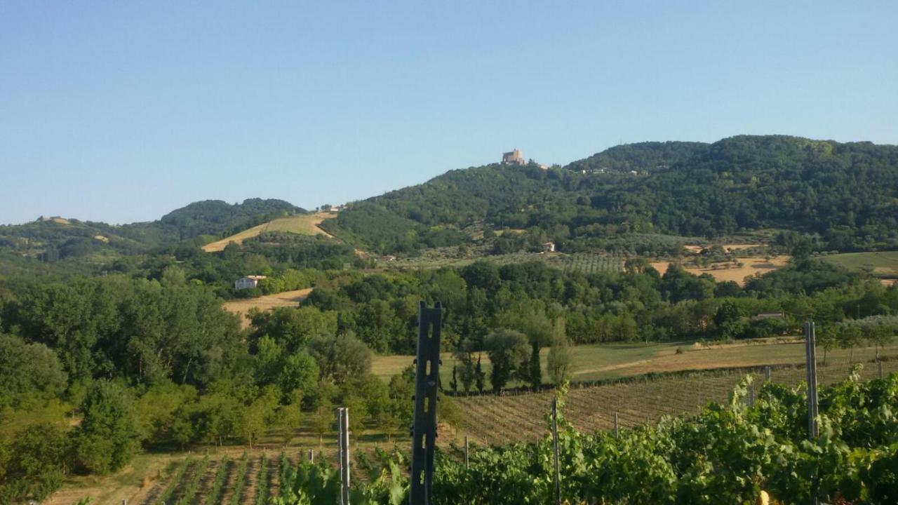 Villa Il Vecchio Gelso - Agriturismo Rimini Montefiore Conca Exterior foto