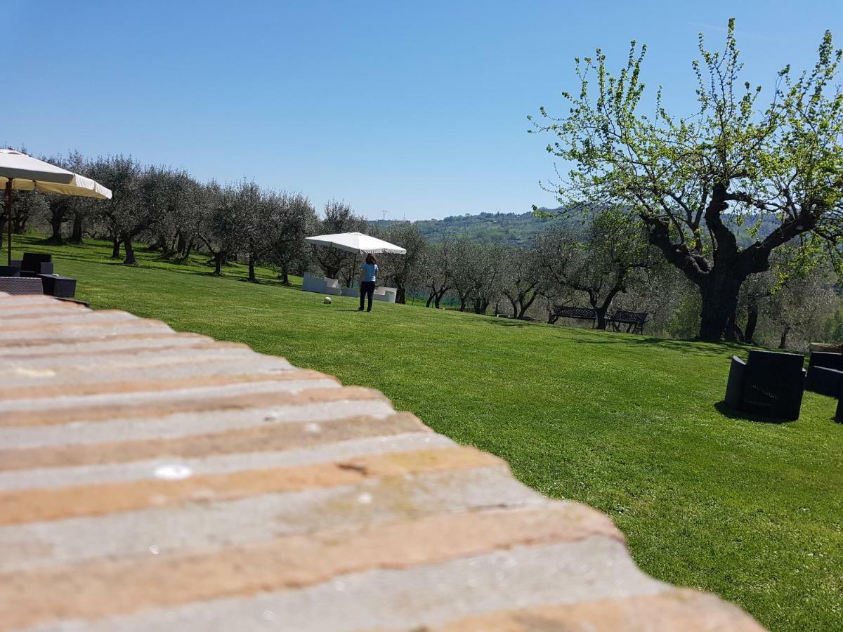 Villa Il Vecchio Gelso - Agriturismo Rimini Montefiore Conca Exterior foto