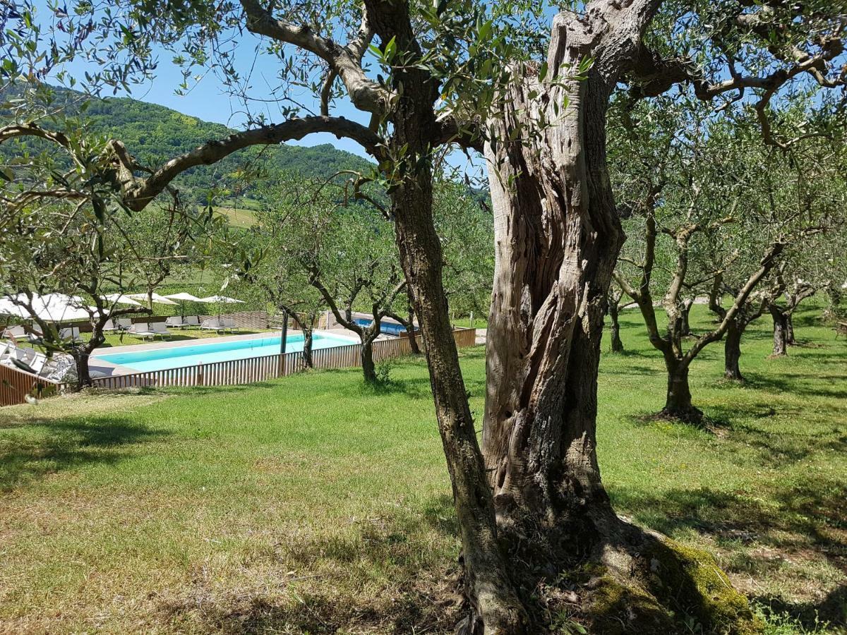 Villa Il Vecchio Gelso - Agriturismo Rimini Montefiore Conca Exterior foto