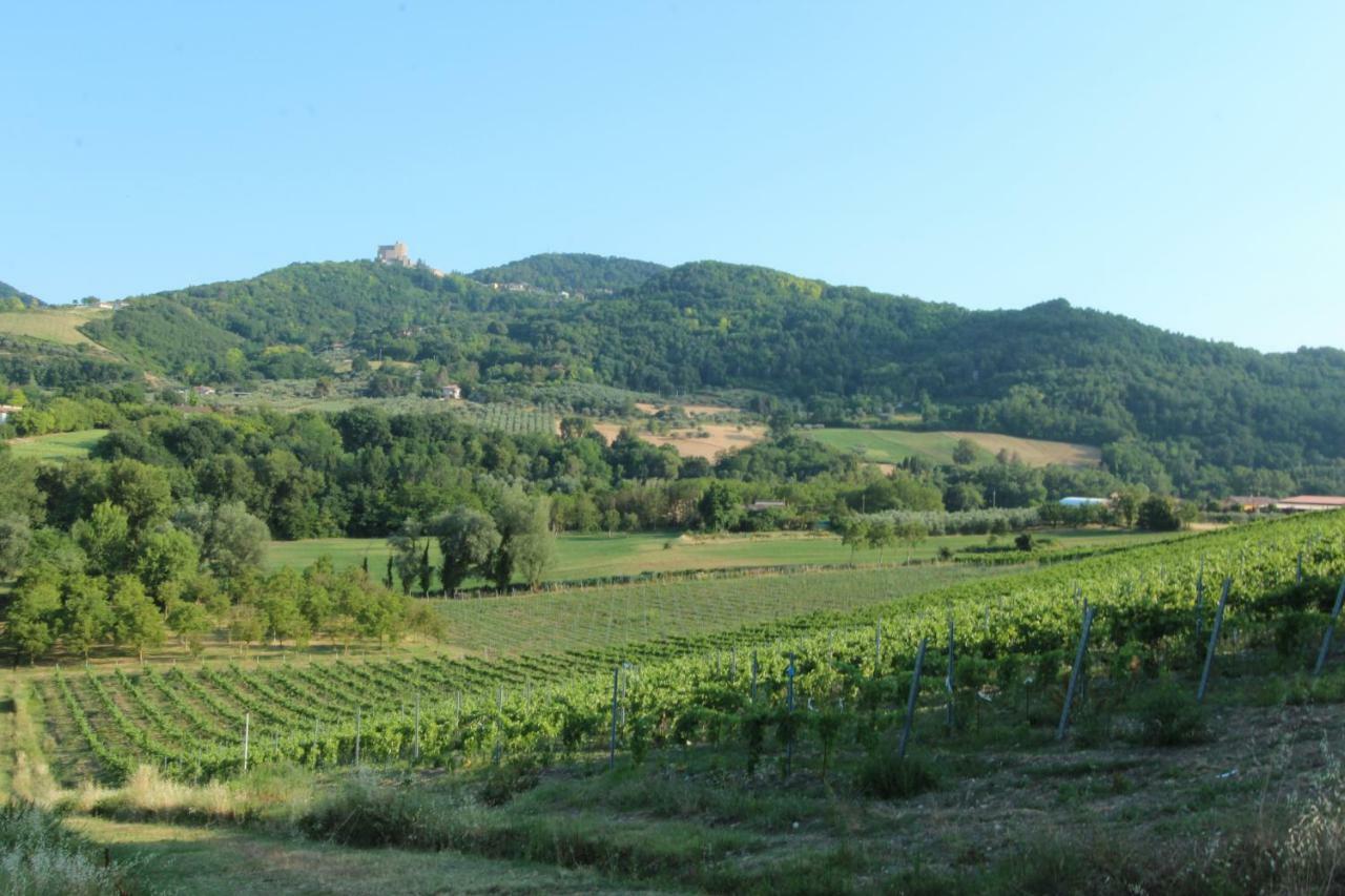 Villa Il Vecchio Gelso - Agriturismo Rimini Montefiore Conca Exterior foto