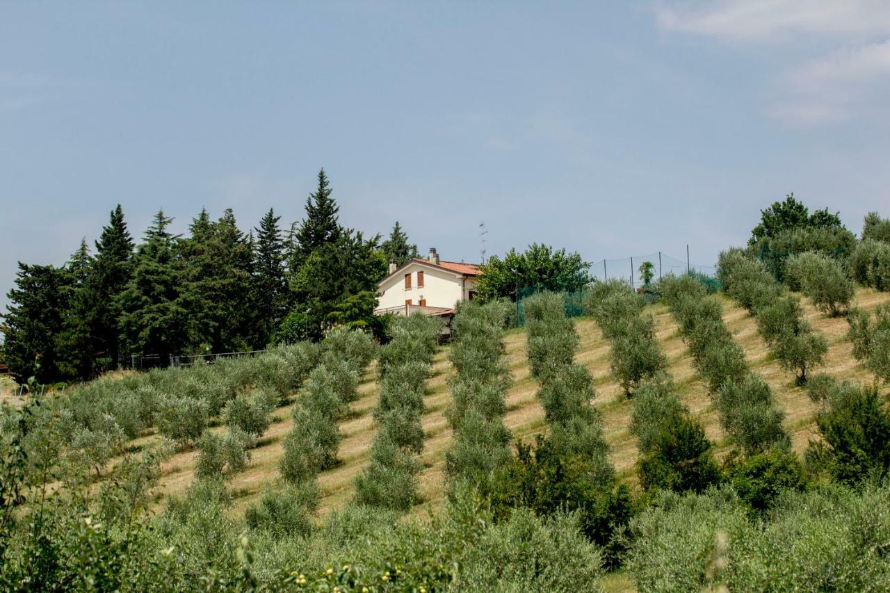 Villa Il Vecchio Gelso - Agriturismo Rimini Montefiore Conca Exterior foto