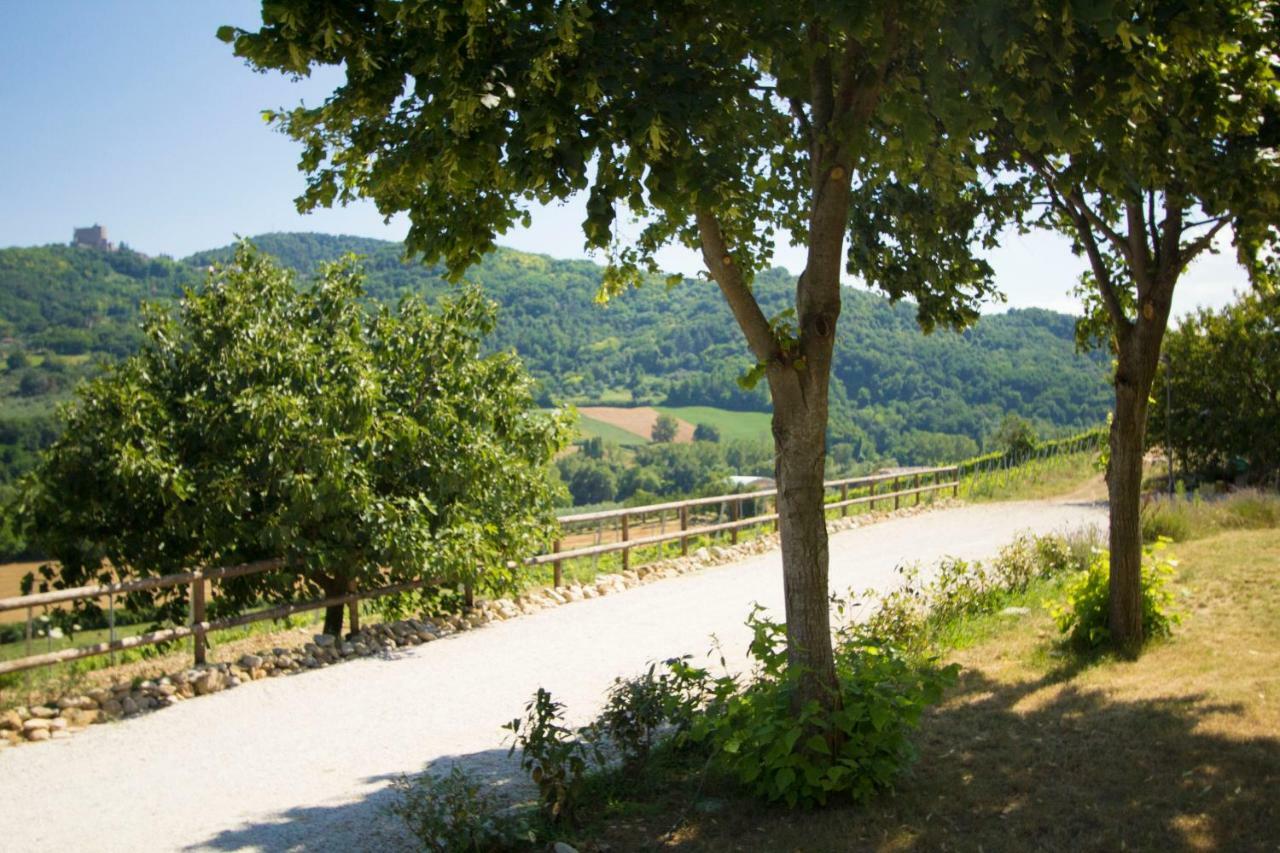 Villa Il Vecchio Gelso - Agriturismo Rimini Montefiore Conca Exterior foto
