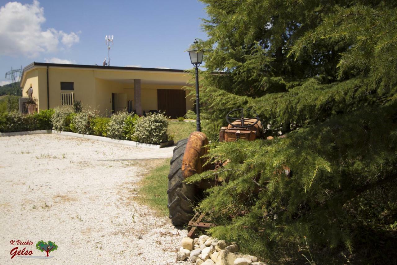 Villa Il Vecchio Gelso - Agriturismo Rimini Montefiore Conca Exterior foto