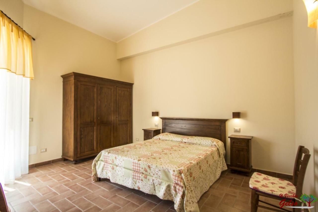 Villa Il Vecchio Gelso - Agriturismo Rimini Montefiore Conca Exterior foto