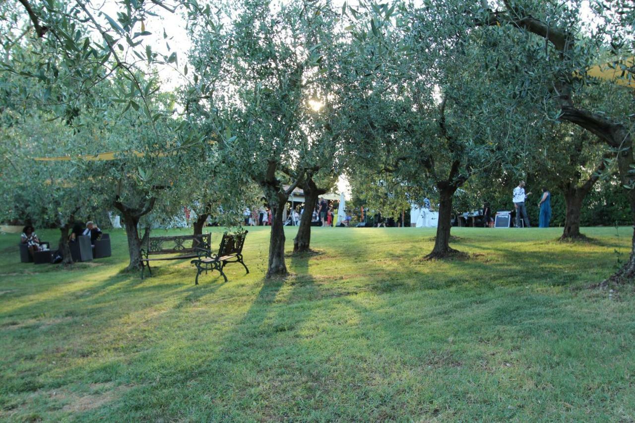 Villa Il Vecchio Gelso - Agriturismo Rimini Montefiore Conca Exterior foto
