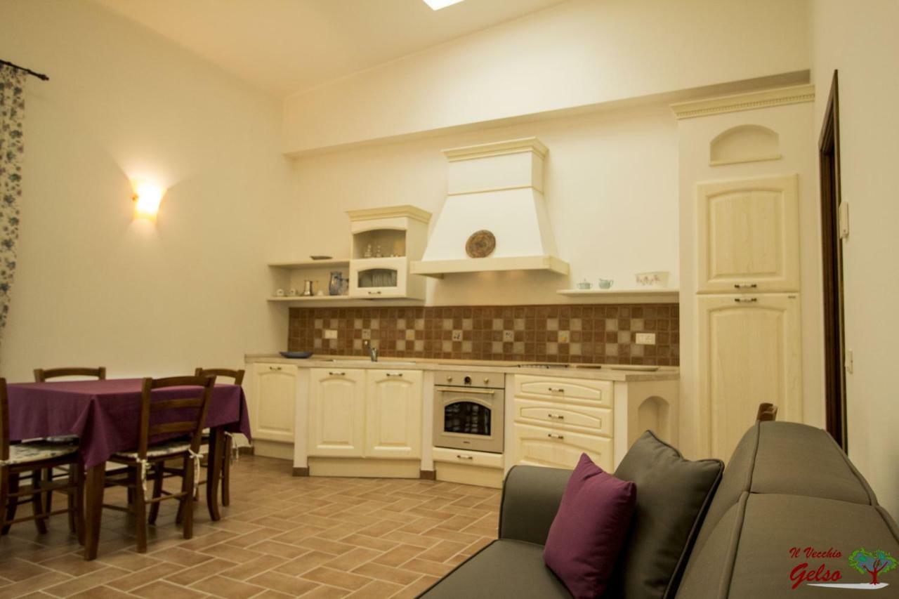Villa Il Vecchio Gelso - Agriturismo Rimini Montefiore Conca Exterior foto